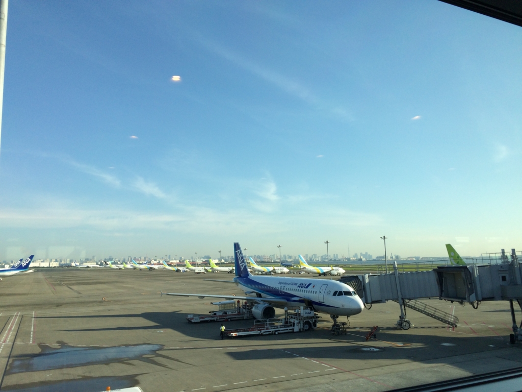 ANA flight took at Haneda Airport.